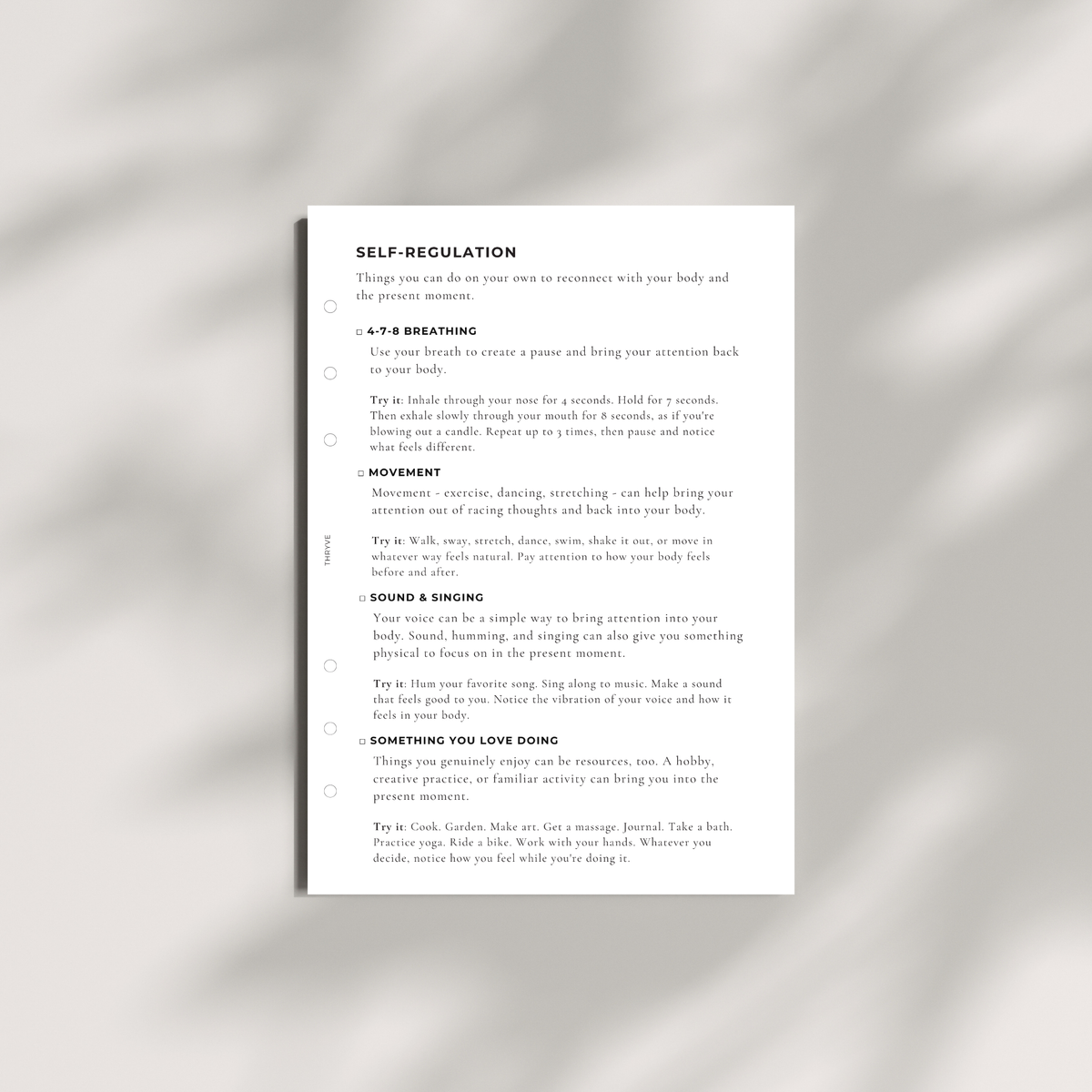 Financial Wellness Journal Inserts • 4-Month Refill