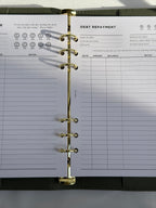 PLACEHOLDER: Debt repayment insert